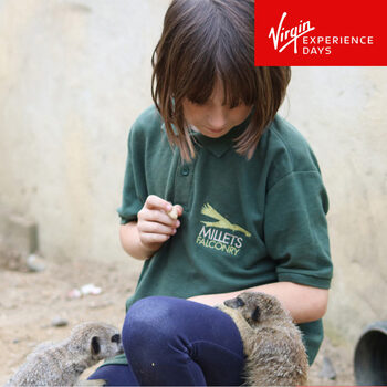 Virgin Experience Days Junior Animal Keeper Experience for One Child at the Millets Farm Falconry Centre (8 Years +)