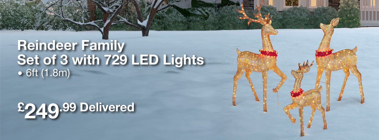 Reindeer Family Set of 3 with 729 LED Lights