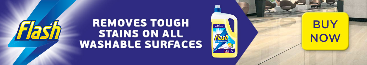 flash removes tough stains on all washable surfaces