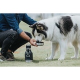 Dog licking Water from Bowl on Grass