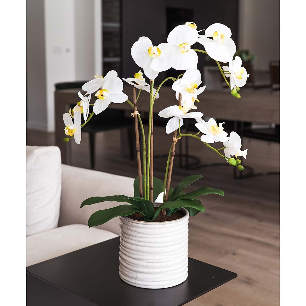 Artificial Orchid in Ribbed Ceramic Pot, White