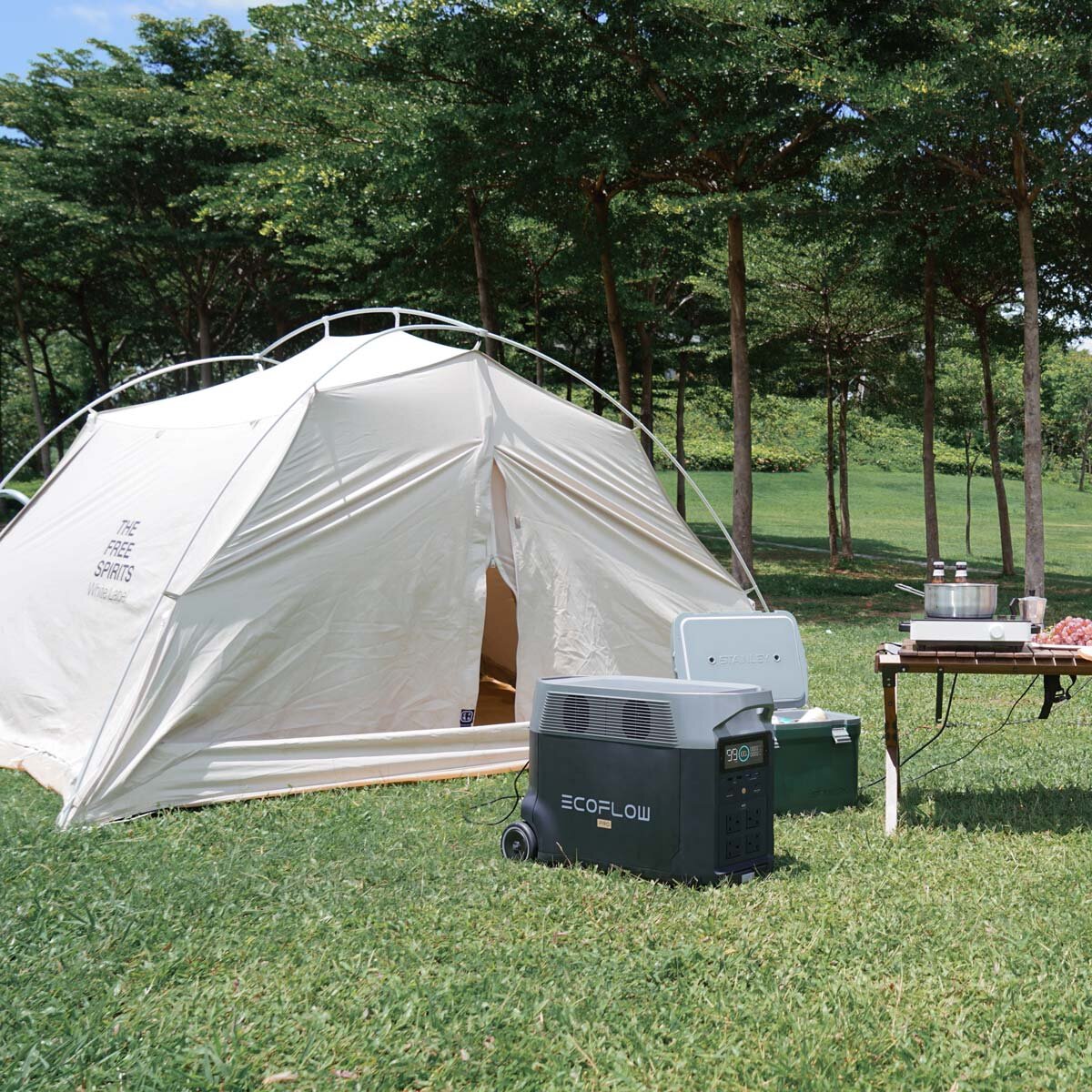 Lifestyle image of Delta Pro in camping setting