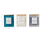 Torc Fragranced Candle, 3 Pack