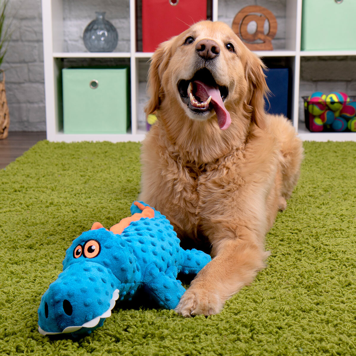 GoDog Jumbo Dog Toys in 4 Colours