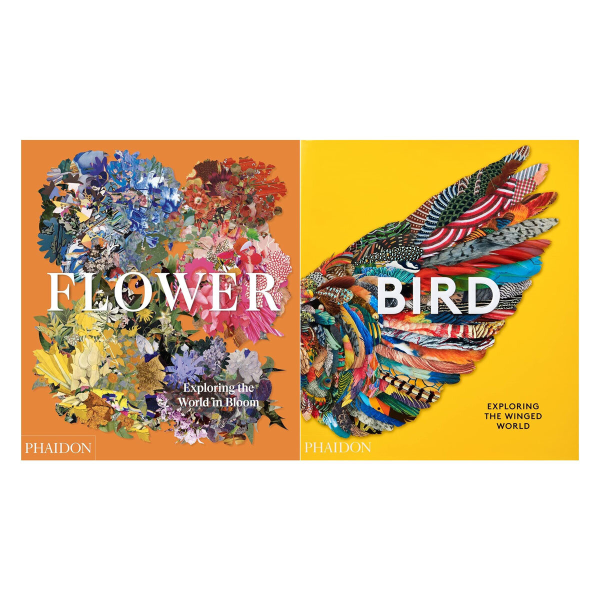 Bird or Flower