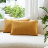 Gold velvet oblong cushion two pack