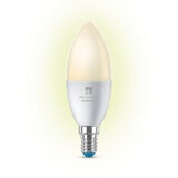 light bulb