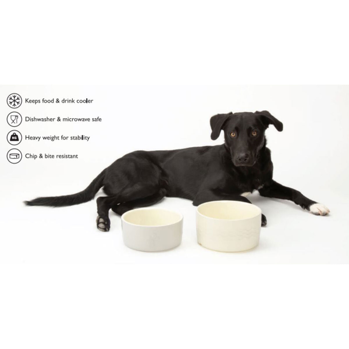 Scruffs Dog Food & Water Bowl Set