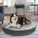 Kirkland Signature Round Pet Bed 42" in grey