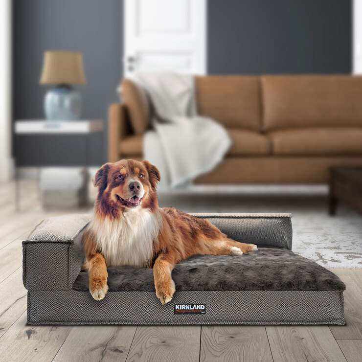 tempur pedic dog bed costco