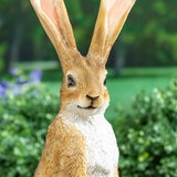 Hare 1