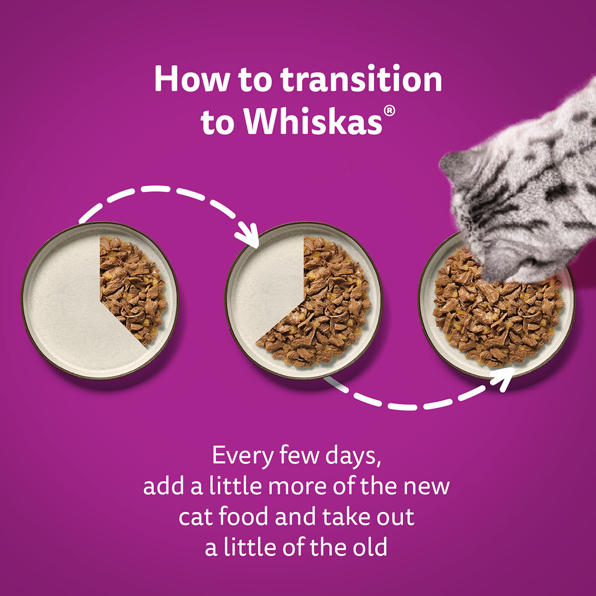 Whiskas cat best sale food bulk buy