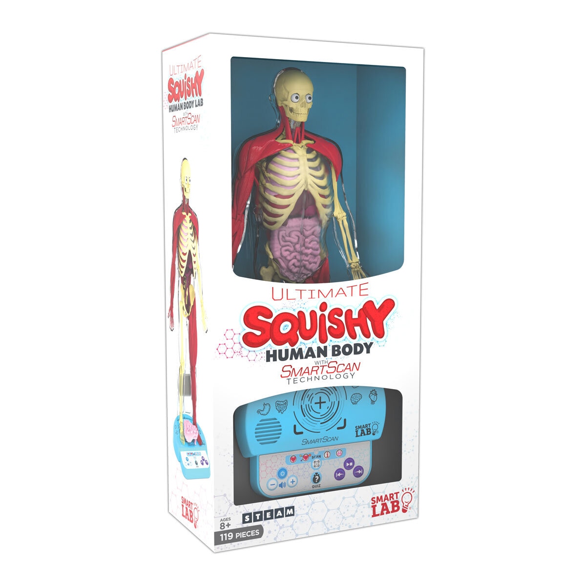 Buy Squishy Human Body Box Image at Costco.co.uk