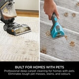 Shark CarpetXpert Carpet Cleaner Lifestyle Image