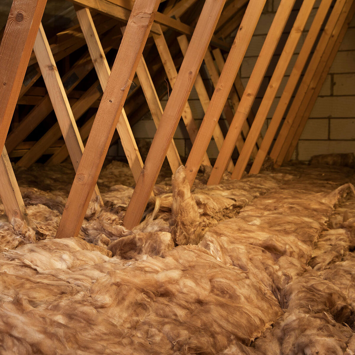 Loft Insulation