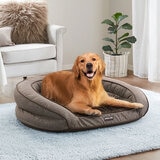 Image of dog bed with dog