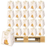 Paluani Pandoro Di Verona Gran Velo, 1kg x 96 Units (Pallet Deal)