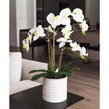 Artificial Orchid in Ribbed Ceramic Pot in 2 Colours