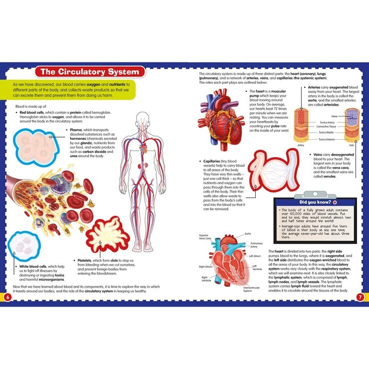 Wonders of Learning Activity Book in 2 Options: Stickers or Puzzles Wonders of Learning Activity Book in 2 Options: Stickers or Puzzles