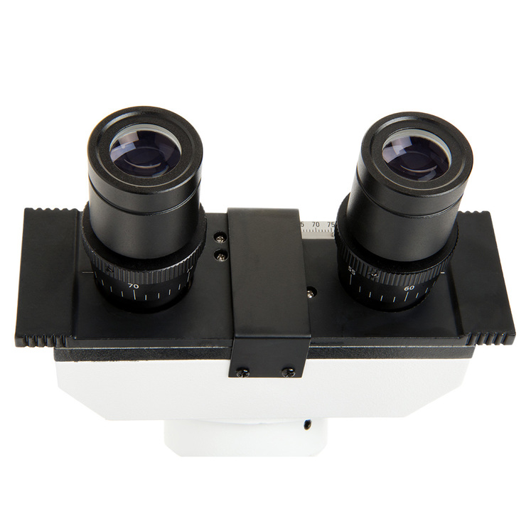 Celestron CB CF LABS Binocular Compound Microscope Costco UK