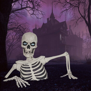 Giant Skeleton overview Image Giant Skeleton overview Image