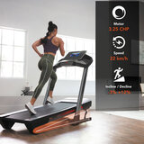 ProForm Pro 2000 Treadmill