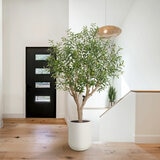 Artificial 8ft Olive Tree in Planter Artificial 8ft Olive Tree in Planter