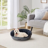 Dog Bed in Lounge