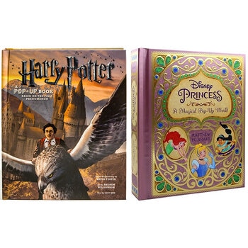 A Deluxe Pop Up Book in 2 Options: Disney Princess or Harry Potter