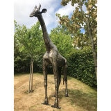 10ft Giraffe