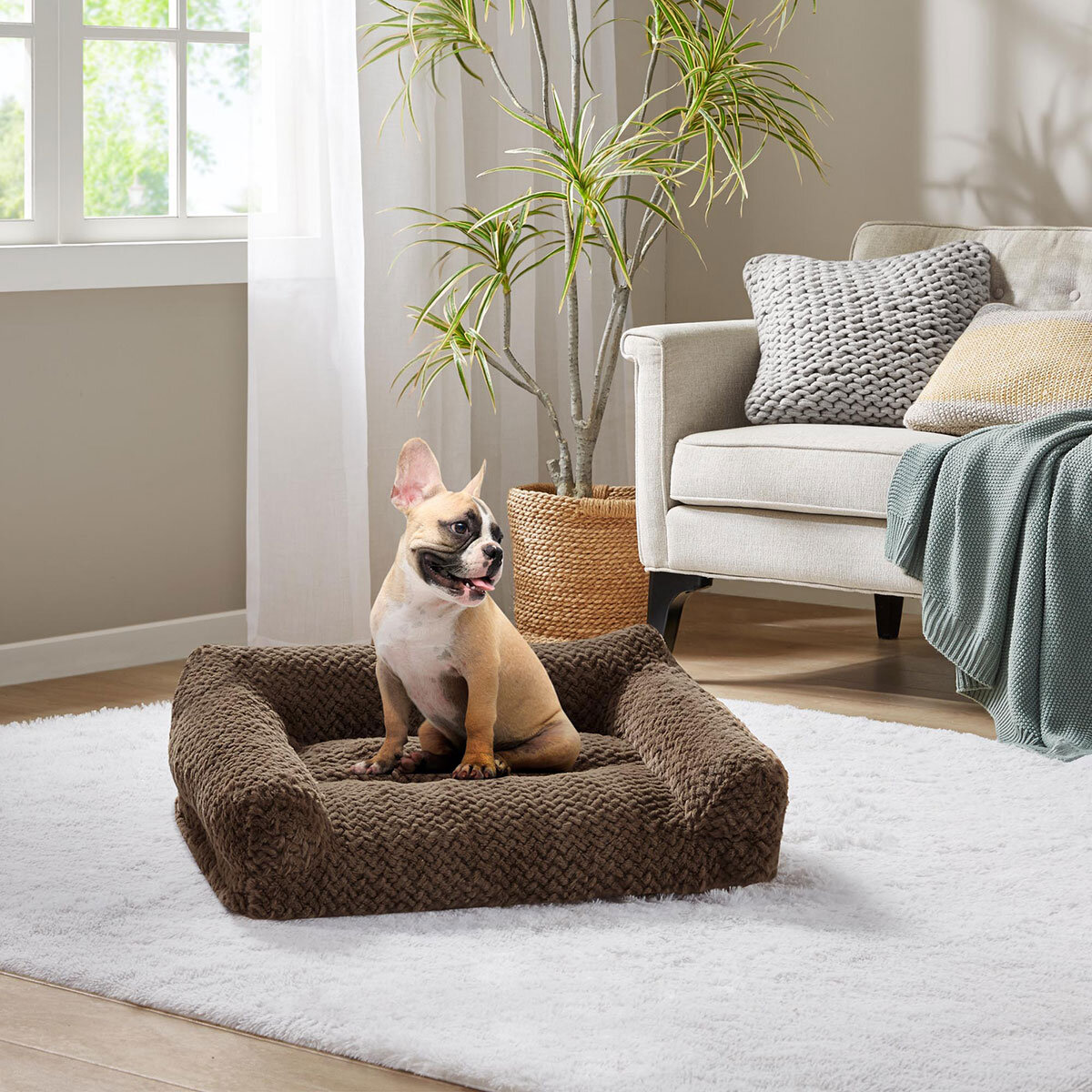 Kirkland Signature High Back Pet Sofa Bed, 56cm x 71cm in Brown