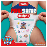 image to show pawsome designs