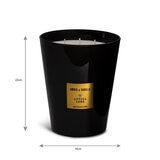 Antiga 1860 3 Wick Candle in 2 Fragrances