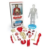 Buy Squishy Human Body Box & Items Image at Costco.co.uk