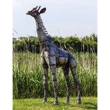 6ft Giraffe