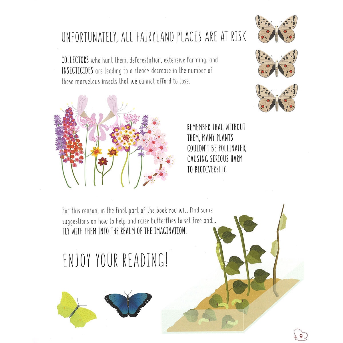 page spread butterfly