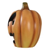 Buy Jack-O-Lantern Packaging Image at Costco.co.uk