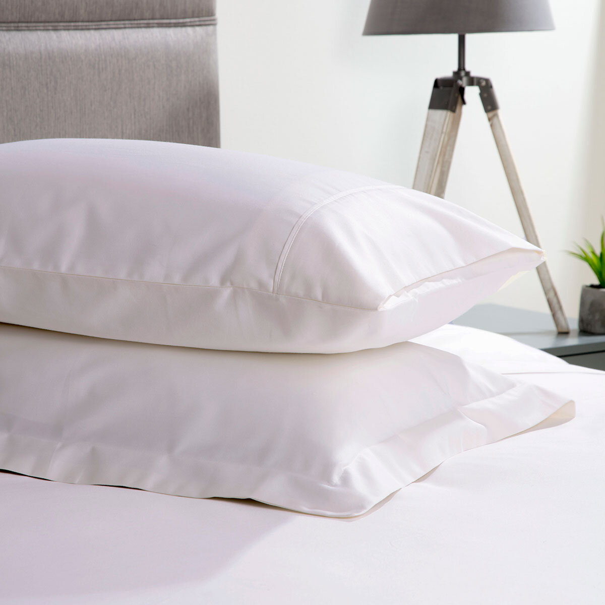 600 thread count pillowcase in white