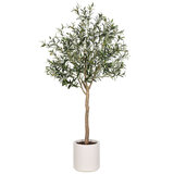 Beaumont Artificial Olive Tree in Planter cut out image