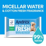 Andrex Classic Clean Washlets, 10 x 56 Wipes