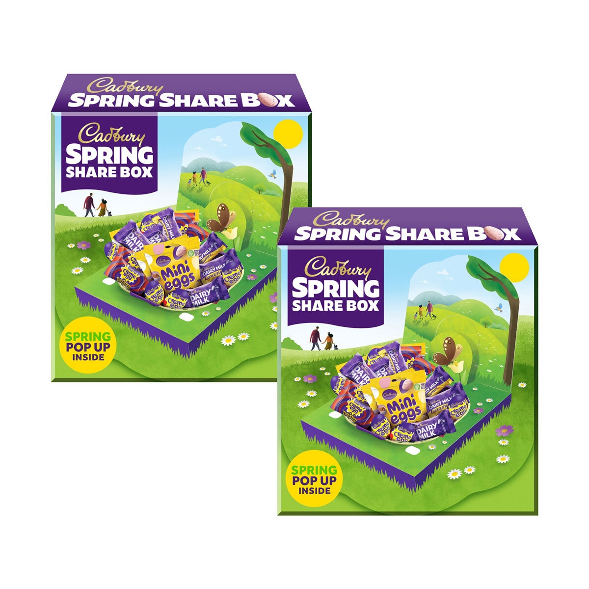 Cadburys Spring Share Box, 2 x 450g