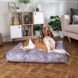 Dog sitting on grey dog mattress