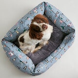 Spaniel in the pet bed