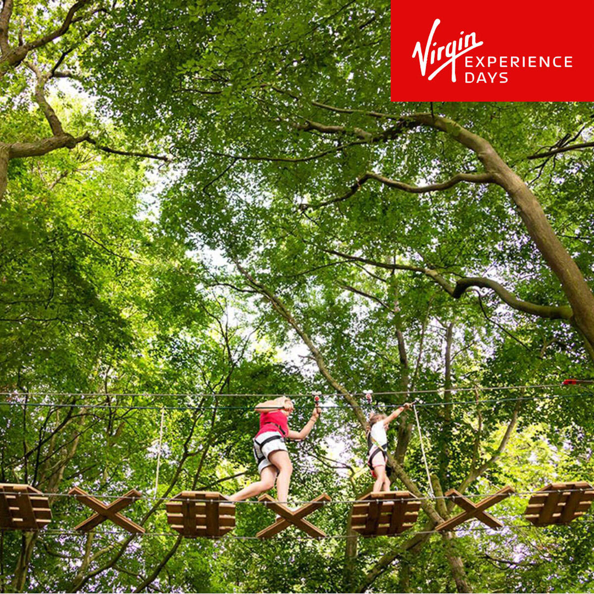 Buy Virgin Experience Junior Tree Top Adventure for 2 with Go Ape Image2 at Costco.co.uk