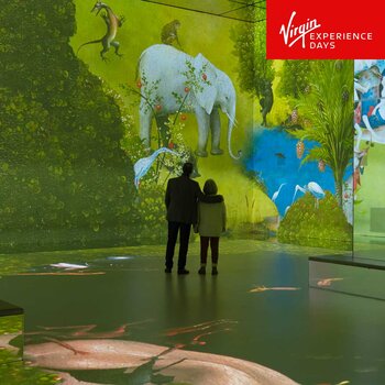 Virgin Experience Days Frameless Immersive Art Experience for Two 