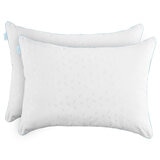 Image of AllErease Recycled Pure Firbrefill Pillow, 2 Pack