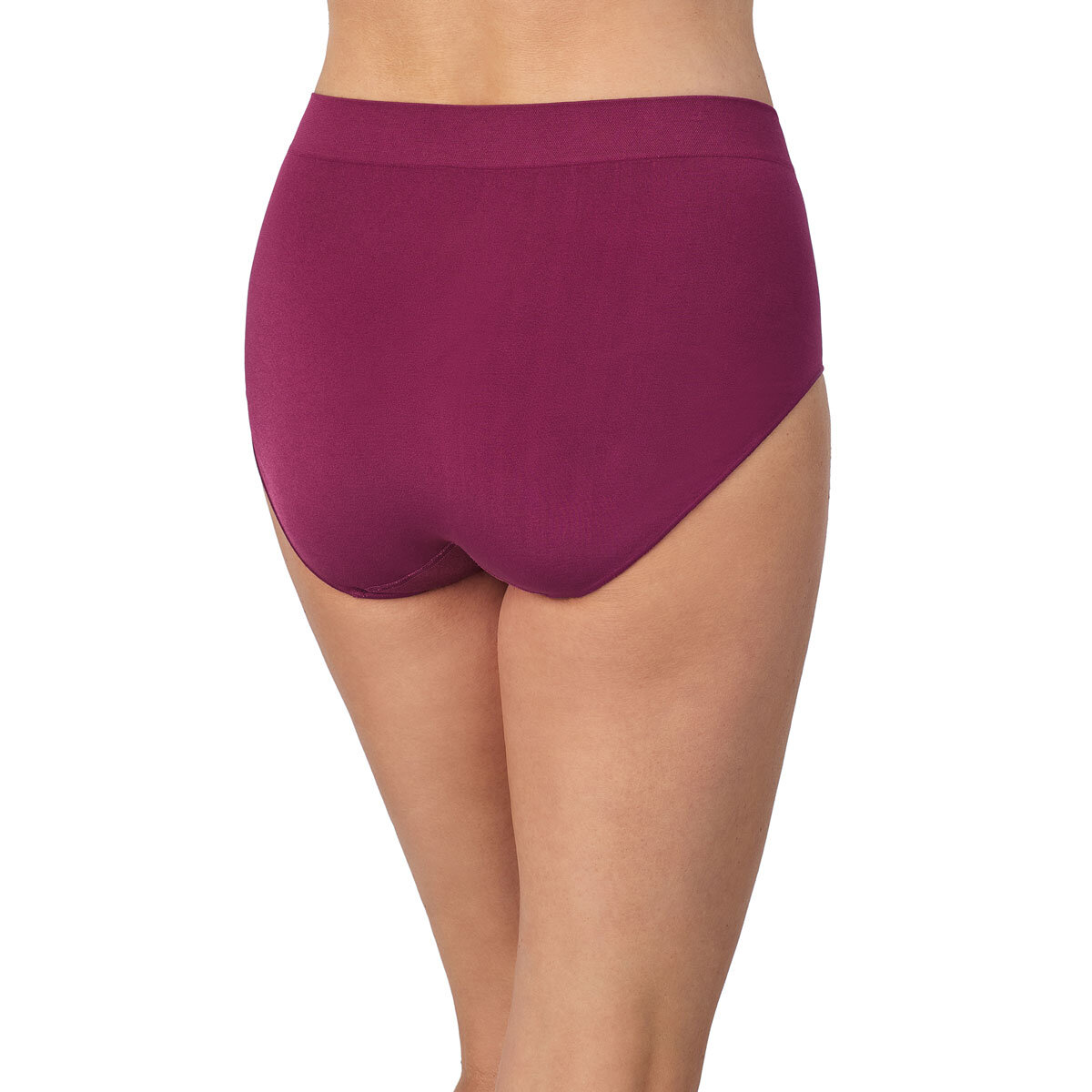 Carole Hochman Seamless Brief, 5 Pack