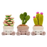 Potted Plants Plush Assortment Item Image