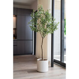 Beaumont Artificial Olive Tree in Planter