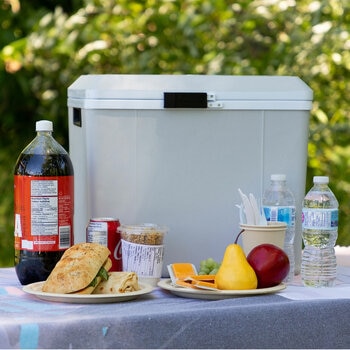 Koolatron 12V DC/230V AC Electric Cool Box/Warm Box 27L Koolatron 12V DC/230V AC Electric Cool Box/Warm Box 27L